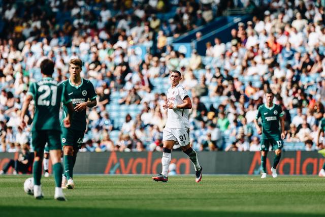 Bologna FC player Roberto Piccoli wearing the 2024/25 away shirt during a match.
